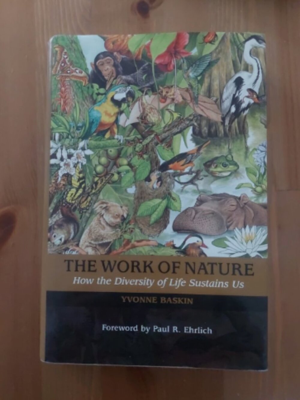 The Work of Nature: How The Diversity Of Life Sustains Us Baskin Yvonne book
